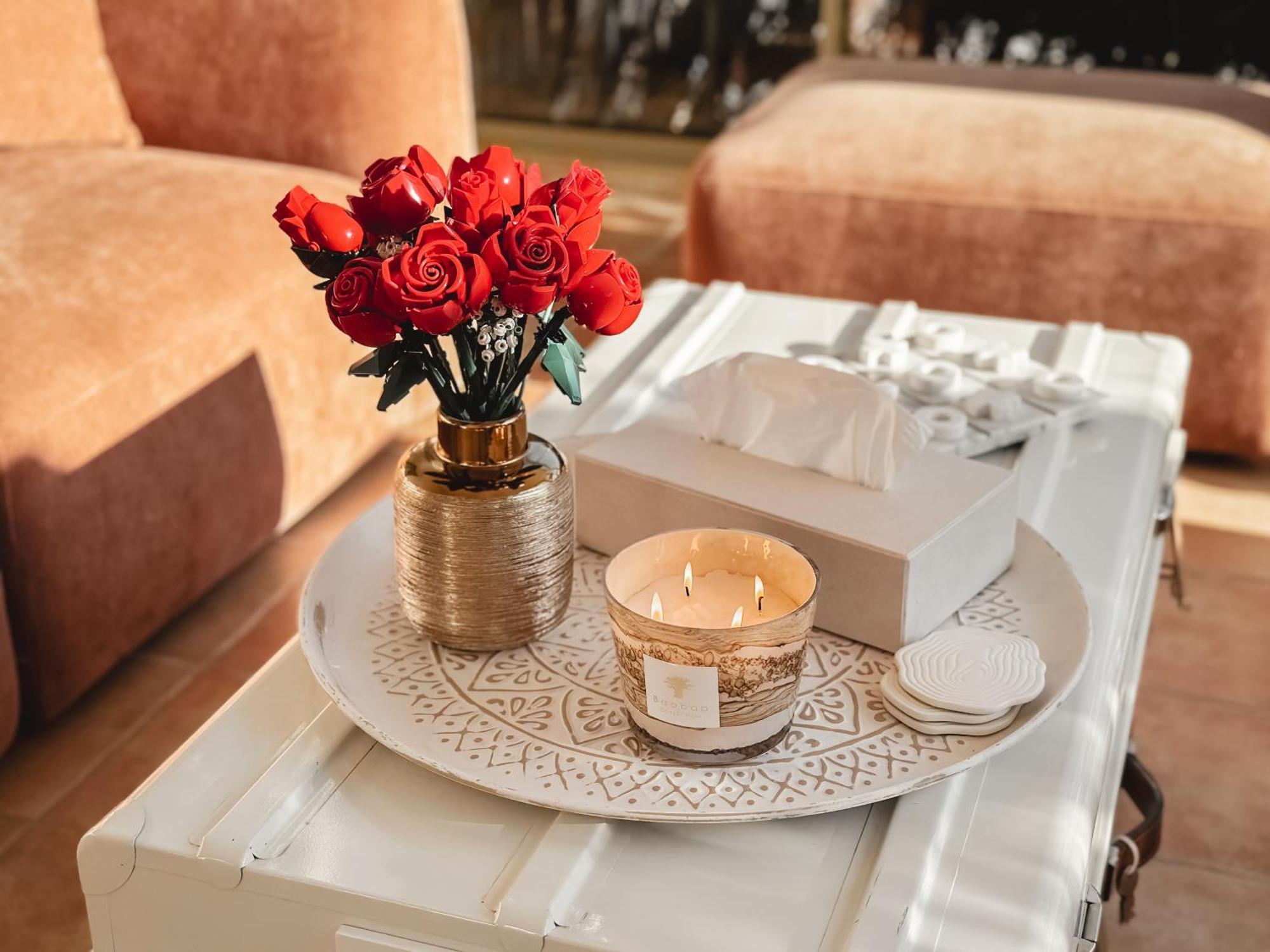 Lv House & Gardens Apartment Каркасон Екстериор снимка
